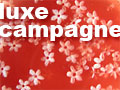 Luxe campagne