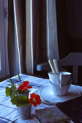 un bouquet de capucines sur la table du petit déjeuner