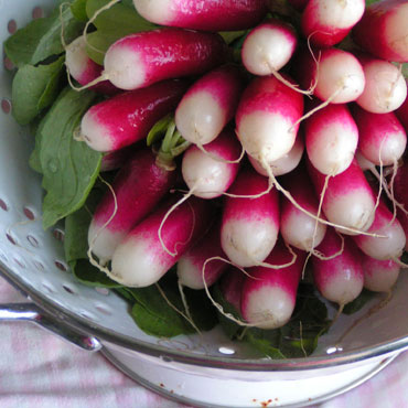 bonnes légumes