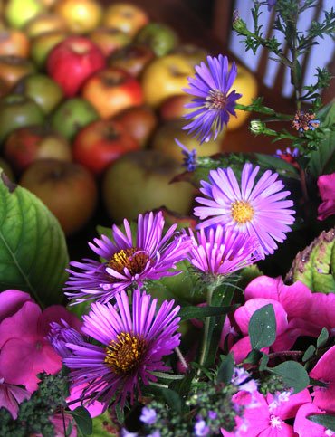 bouquet de campagne en automne