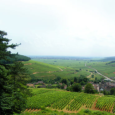 paysage de Bourgogne