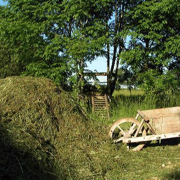 la vieille brouette de jardin en bois