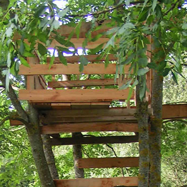 fabriquer sa cabane dans un arbre