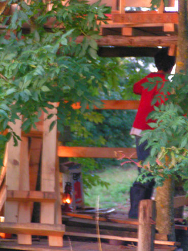 cabane dans les arbres le soir