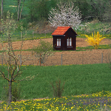 cabane de jardin au printemps