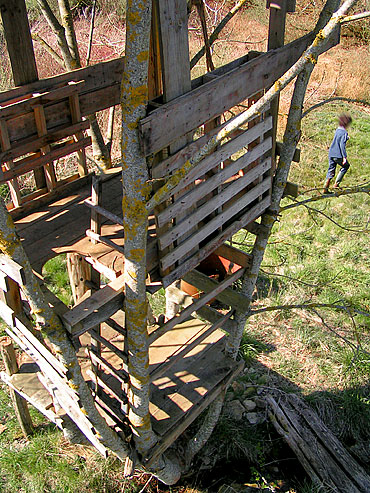 ouverture sur la cabane