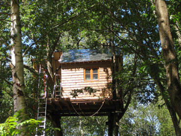 Vue de la Cabane perchée