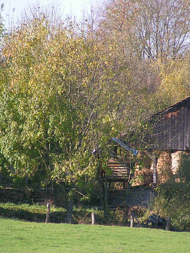 maison dans les arbres dans une ferme