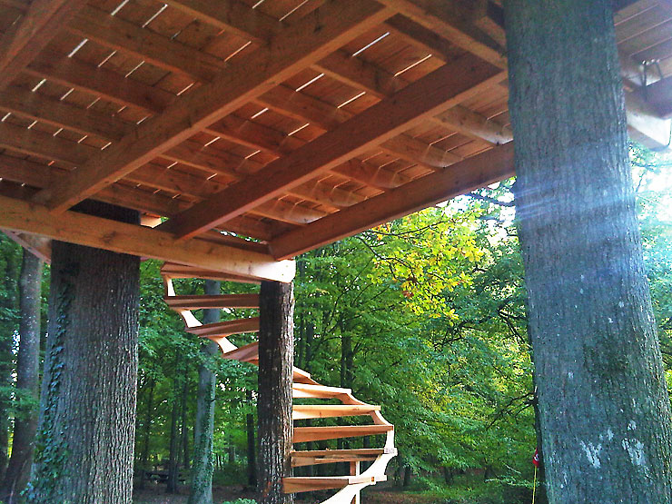 construction d'une cabane vue de dessous.