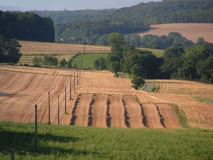 le milieu rural avec ses champs.
