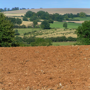 campagne et champs