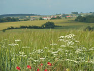 vivre à la campagne