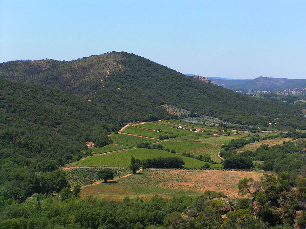 la campagne en Provence grande photo de paysage