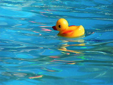 Canard jaune en plastique flottant dans la piscine bleue