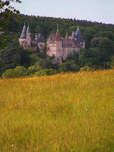 vue du chateau dans les bois