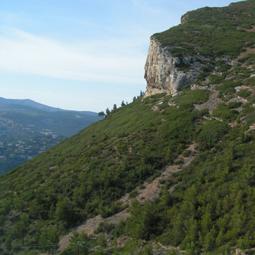 végétation sur une colline de Provence