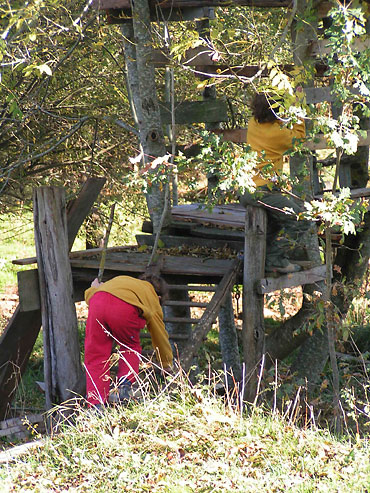 enfants dans la cabane