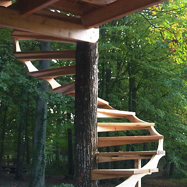 vue de l'escalier en colimaçon autour du tronc