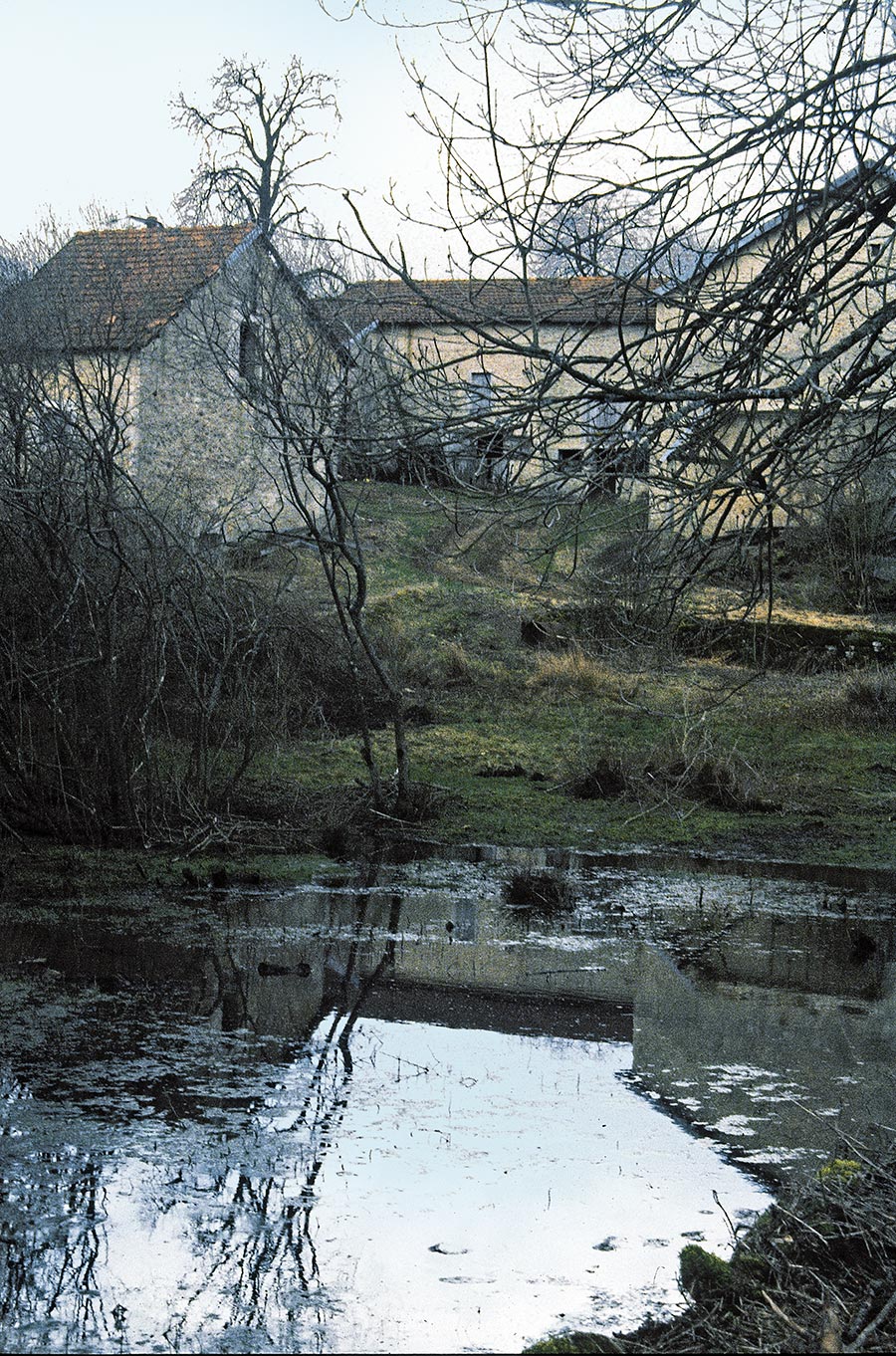 ferme avec eau de l'étang