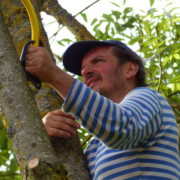 le scieur avec une scie à bois vert