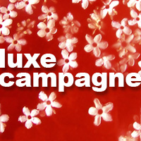 Luxe Campagne