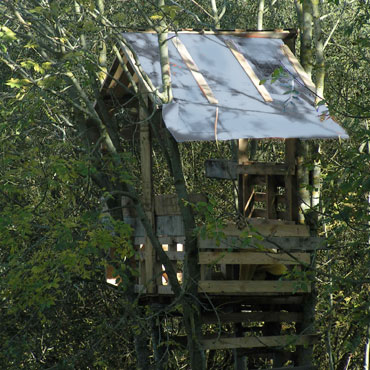 la cabane et son toit