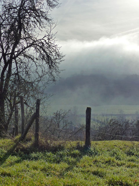 Paysage avec du brouillard en hiver