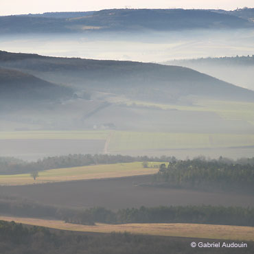 paysages de campagne dans la brume