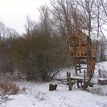 paysage d'hiver avec la cabane