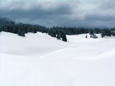 paysage de neige à la montagne en hiver