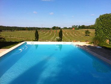 la piscine bleue et en arrière-plan les vignes