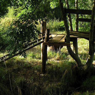 Plan cabane dans les arbres