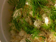 gratin de fenouil
