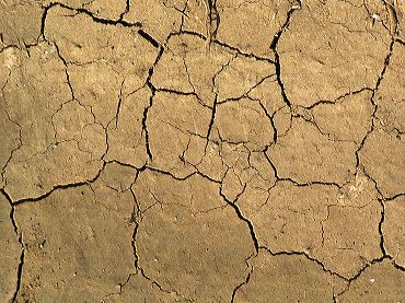 La terre craquelée par la sècheresse