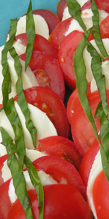 tomate mozzarella basilic dans une assiette