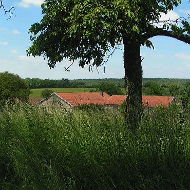 Le luxe de la campagne